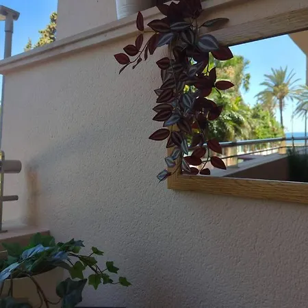 Noray Playa Seafront, San Pedro De Alcantara Apartamento *